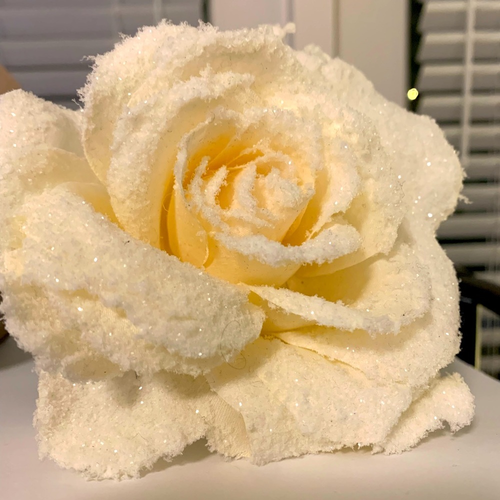 Meet your Posher, Wameka